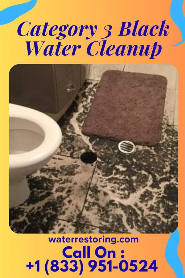 Category 3 Black Water Cleanup in Mount Olive, IL