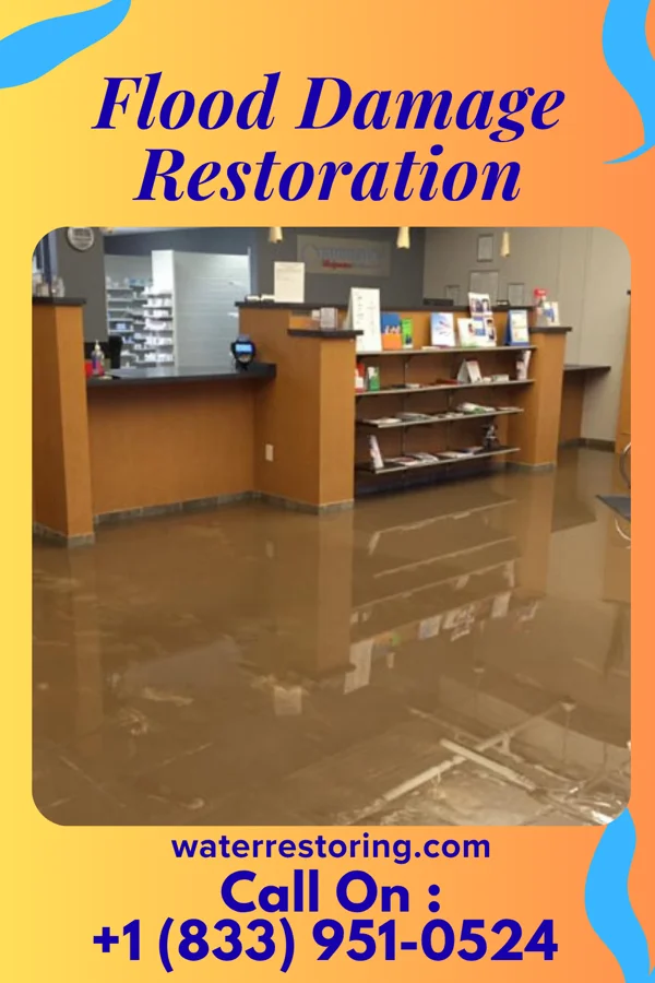 Flood Damage Restoration in Mount Olive, IL