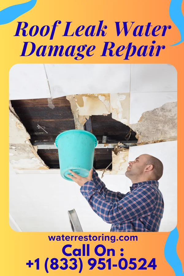 Roof Leak Water Damage Repair in Mount Olive, IL
