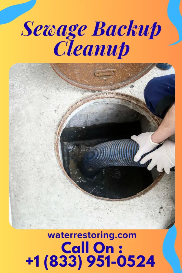 Sewage Backup Cleanup in Mount Olive, IL