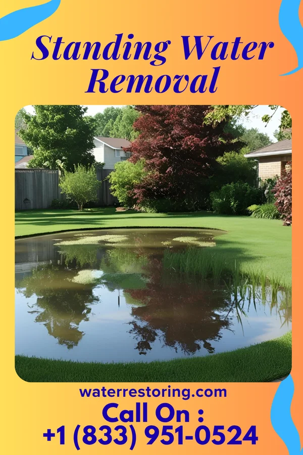 Standing Water Removal in Mount Olive, IL
